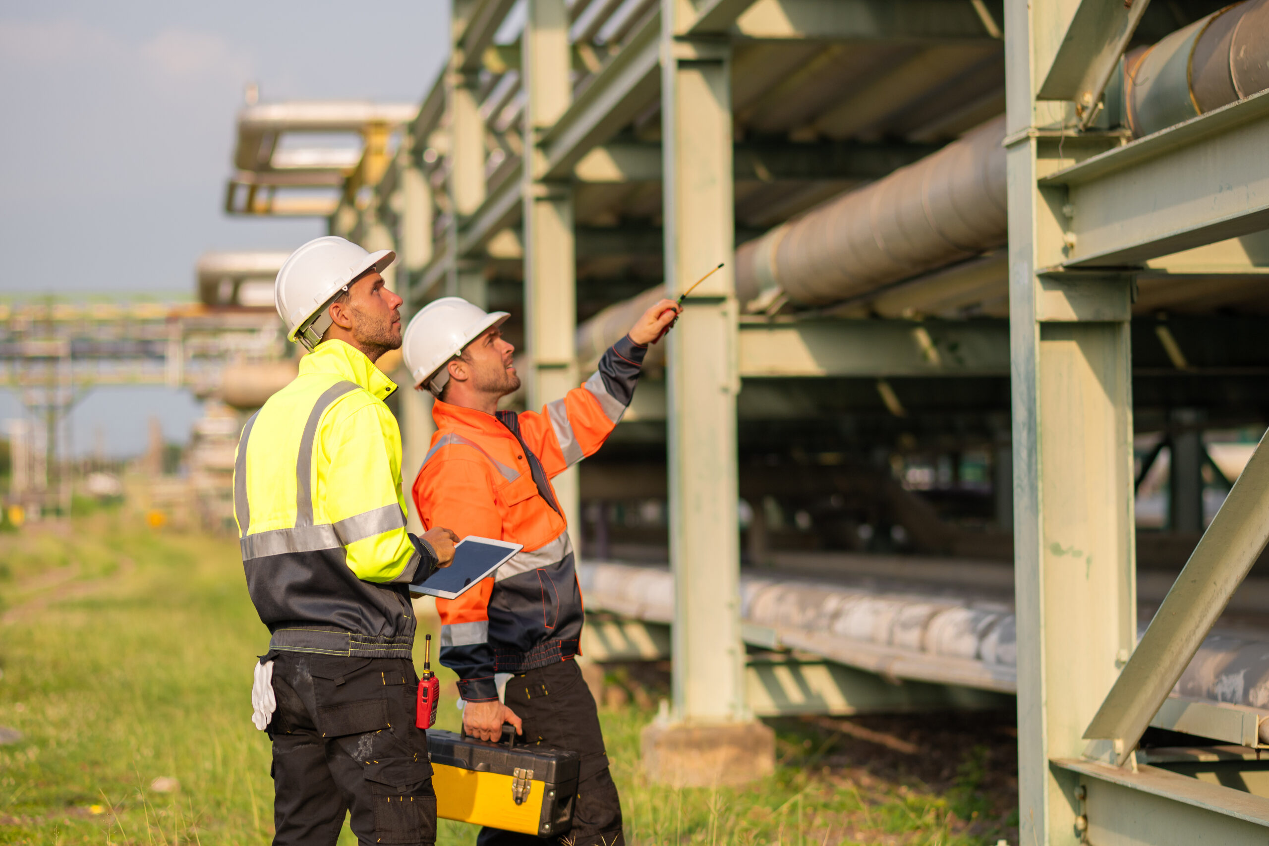 environmental consultants